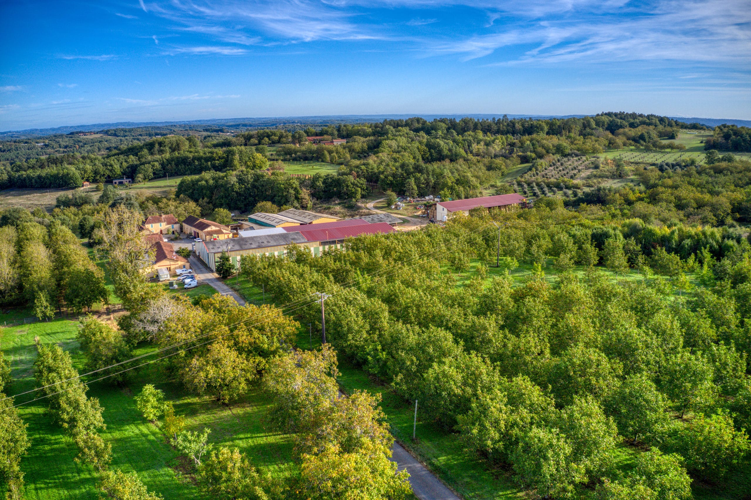 Exploitation Dordogne Noix à Saint Laurent La Vallée
