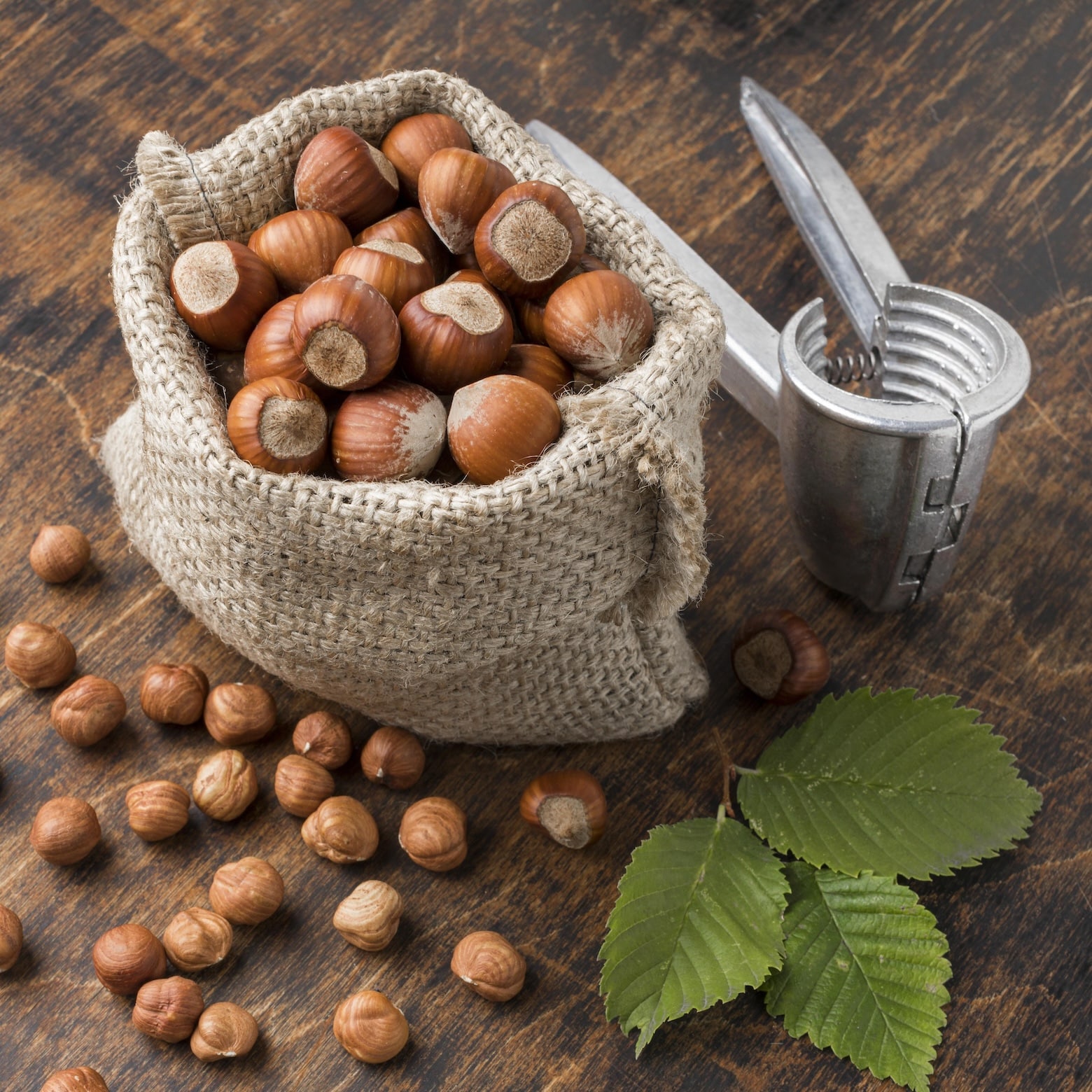 Nuciculteur noisette Dordogne noix